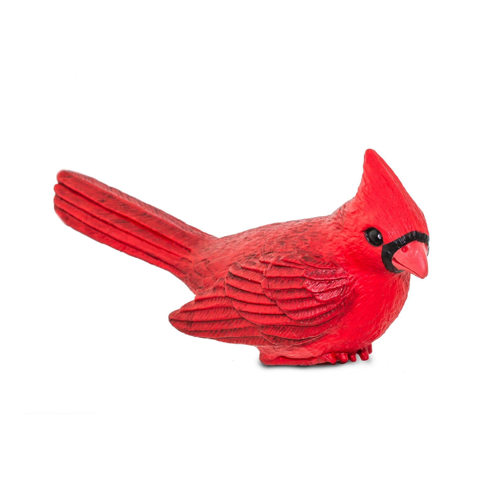 Amazon.com: Safari Ltd. Northern Cardinal Figurine - Detailed 5
